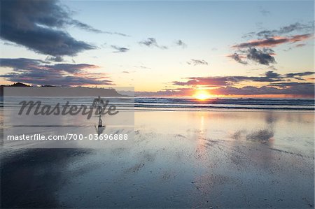 Surfer on Beach, Chesterman Beach, Tofino, Vancouver Island, British Columbia, Canada