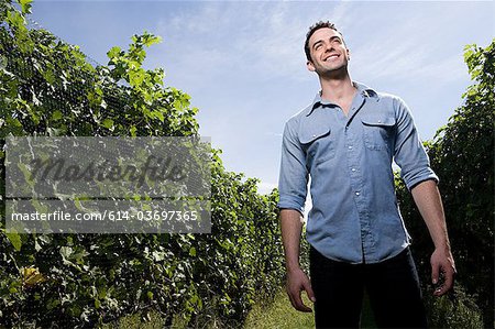 Young man in vineyard