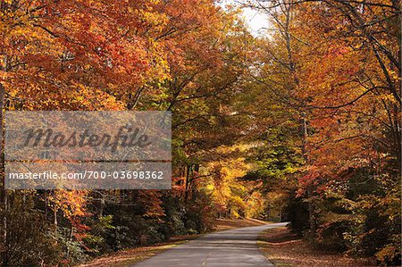 Blue Ridge Parkway, North Carolina, USA