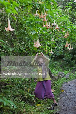 Galapagos Islands, A visitor to the cloud-forest on Floreana island photographs a moonflower.