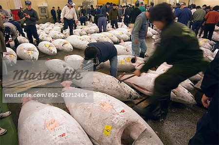 Tsukiji Fish Market Thunfisch wird versteigert