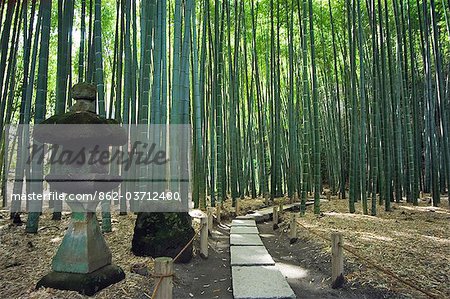 Kamakura bamboo forest and stone lantern in Hokokuji temple garden
