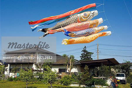 Sagamihara near Tokyo Otako age giant kite flying festival koi nobori carp kites over residential house