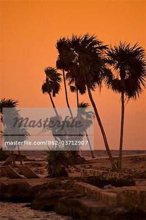 Playa del Carmen, Mexiko. Ein Sonnenuntergang erschossen im Wind wiegenden Palmen