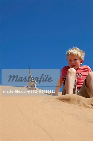 Namibia, Skeleton Coast, Namib Desert. A boy revels in the close proximity of a curoius meerkat on  coastal sand dune bel.