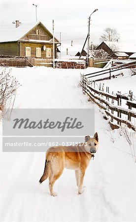 Winter, Pikalevo, Leningrad region, Russia