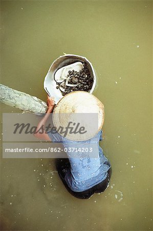 Woman collecting shellfish from river, Chau Doc, Vietnam