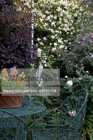 Jardin suburbain avec vert-de-gris vert fil table et des chaises contre cotinus, philadelphus, la clématite et pivoine