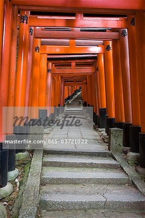 Torii gates at Fushimi Inari Shrine, Kyoto, Japan