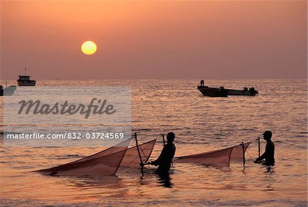 Pêcheurs détenant des filets dans la mer au coucher du soleil