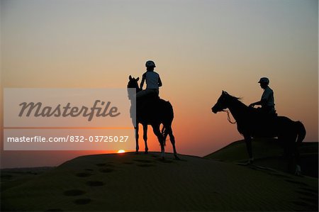 Horseriding in United Arab Emirates.