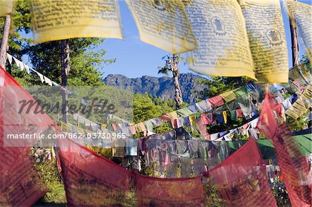 Asien, Bhutan, Thimphu, Gebetsfahnen