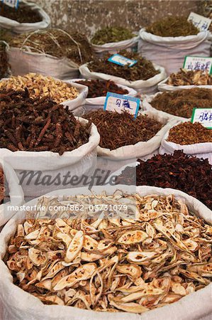 Herbes pour la vente à la médecine chinoise sur le marché, Guangzhou, Guangdong Province, Chine