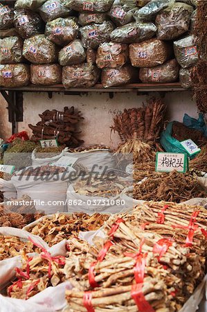 Herbes pour la vente à la médecine chinoise sur le marché, Guangzhou, Guangdong Province, Chine