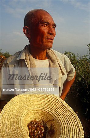 China, Shaanxi Province; Near Xian. A farmer scans his fields in countryside near Xian.