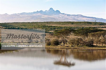 Kenya, zèbre commun boire d'un barrage au Borana Ranch 35 000 acres qui surplombe le mont Kenya, dans le District de Laikipia.