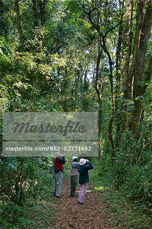 Kenya, Visitors and their guide bird-watching in the Kakamega Forest.