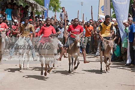 Kenya, The start of the bi-annual donkey race along Lamu s seafront.