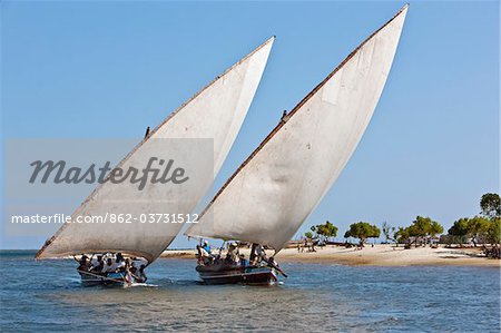Kenya. Two Jahazi boats sailing off Lamu Island. The main way to transport goods in the Lamu Archipelago.