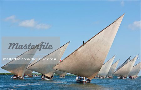 Kenya. Mashua sailing boats participating in a race off Lamu Island.
