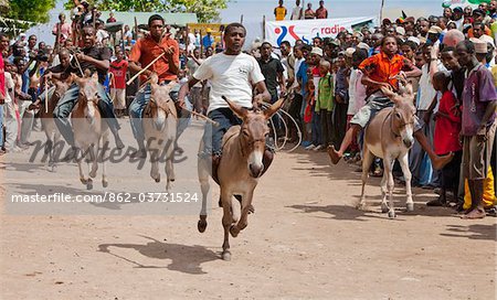 Kenia. Der Beginn eines Rennens Esel an Lamu s Strandpromenade. Zweimal im Jahr statt.