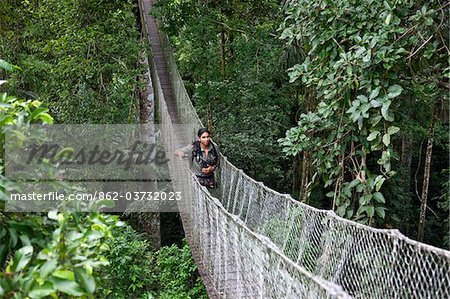 Peru. Jesus, an experienced local guide at Inkaterra Rerserve Amazonica, crossing a bridge on the treetop-canopy walk.