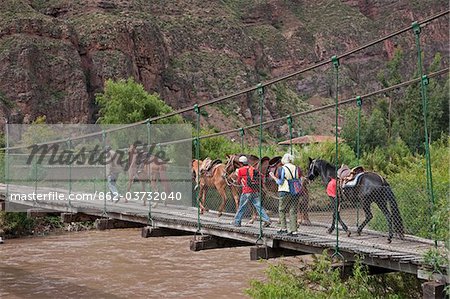 Pérou. Chevaux dirigés sur un pont qui enjambe la rivière Urubamba pour être montés par les touristes à Moray et Maras, vallée sacrée.