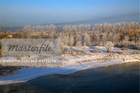 Russland; Sibirien; Irkutsk; Frost auf Bäumen aus dem Fluss Angara am Morgen