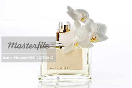 Parfum et la fleur de l'orchidée