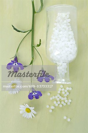 Marguerites, globules et lobelia bordure Marguerites, globules et lobelia bordure