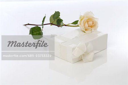 Gift box and rose