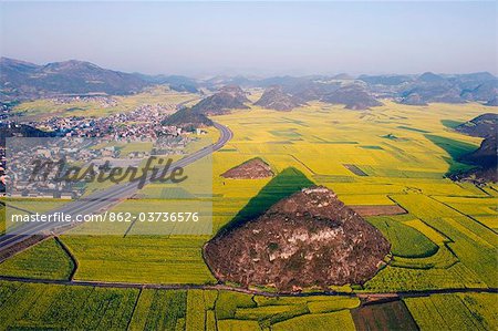 China, Yunnan province, Luoping, rapeseed flowers in bloom