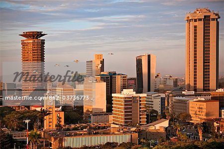 Kenya, Nairobi. Nairobi skyline bathed in late afternoon sunlight as a flock of sacred ibis fly overhead.