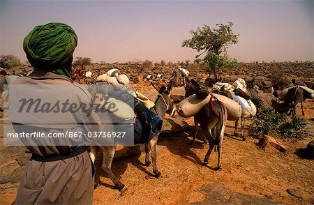 Mali, near Douentza. A small caravan of donkeys transporting millet pauses amidst austere countryside near Douentza
