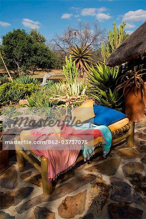Afrique du Sud, Province de Limpopo, Plateau de Waterberg. Près de la piscine transat aloe plantes et fourmis nid privé Bush chez. Afrique du Sud, Province de Limpopo, Plateau de Waterberg. Près de la piscine transat aloe plantes et fourmis nid privé Bush chez.