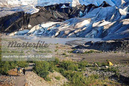 Découvre surplombant les randonneurs à pied le long du sentier Spencer Glacier, forêt nationale de Chugach, péninsule de Kenai, centre-sud de l'Alaska, l'été