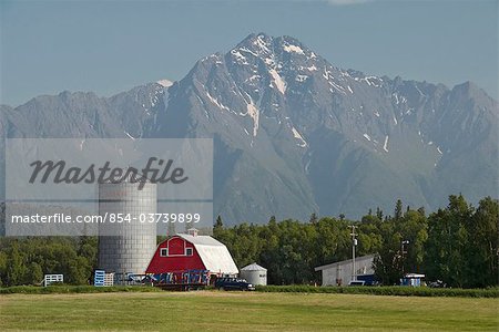 Malerischer Blick auf den ländlichen Bauernhof mit roten Scheune und Silo und Pioneer Peak im Hintergrund, Palmer, Mat-Su Valley, South Central Alaska, Sommer