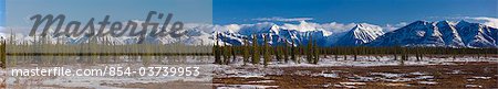 Vue panoramique sur les contreforts de la chaîne de l'Alaska à large col Tassa George Parks Highway, Alaska-Centre-Sud,