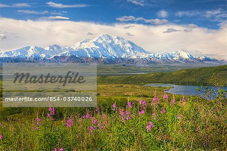 View of the north side of Mt. McKinley on a sunny day with McKinley River and Wonder lake in the foreground, Denali National Park and Preserve, Interior Alaska, Summer, HDR