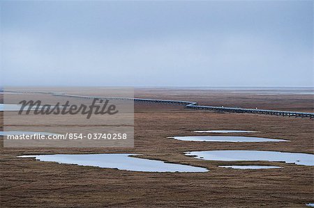 Aerial view of the Trans-Alaska Pipeline crossing the tundra of the coastal plain, Prudhoe Bay, Arctic Alaska, Summer