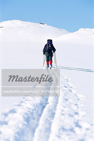 Pistes de ski et un skieur photographié par derrière.