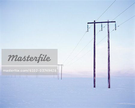 Power lines in a winter landscape.