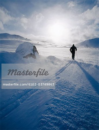Cross-country skier in winter landscape.