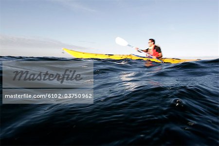 A man in a kayak.