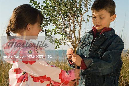 Enfants holding jeune arbre ensemble