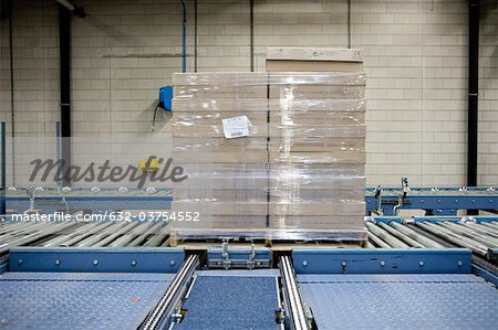 Usine de tuiles palette enveloppée de boîtes en carton sur le convoyeur à tapis