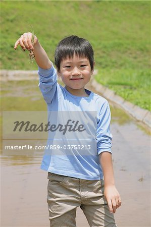 Junge, Besitz der Pflanze Samen am Feuchtgebiet