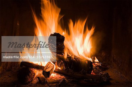 Logs burning in open fire