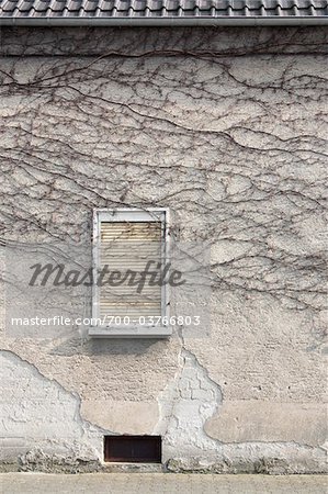Maison abandonnée Maison abandonnée