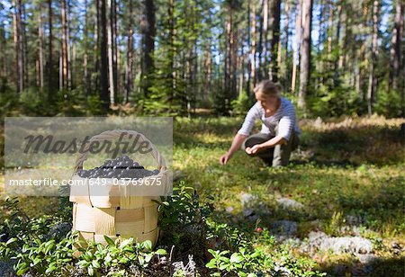 Femme qui cueillait des baies dans la forêt